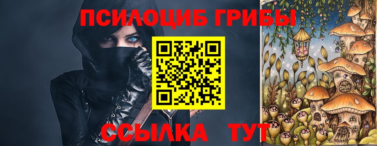 Алушта  Псилоцибиновые грибы Cubensis  купить закладку  Вход с VPN 