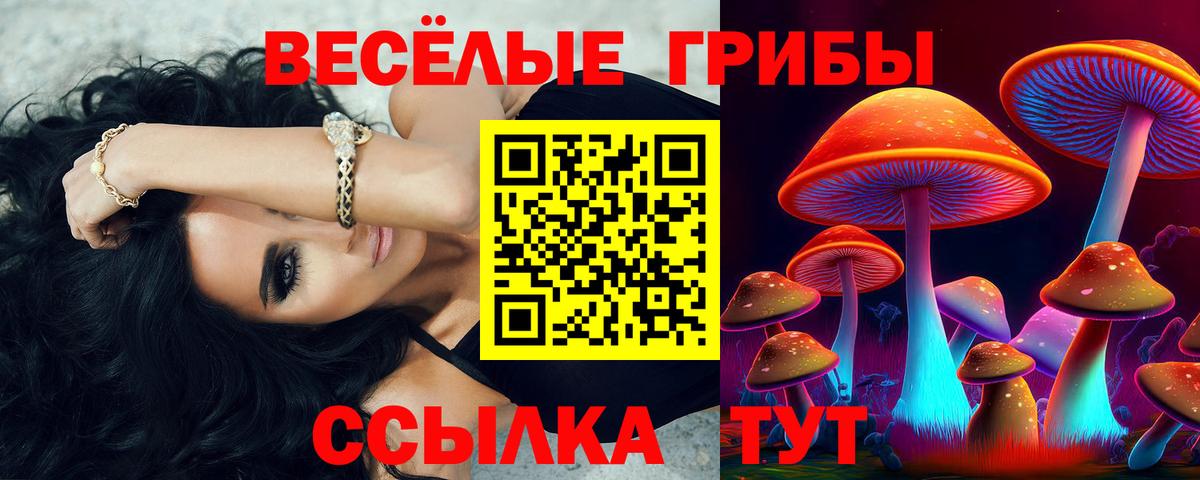 Галлюциногенные грибы Magic Shrooms Алушта
